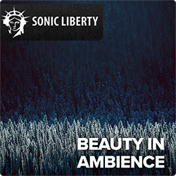 Royalty-free Music Beauty In Ambience