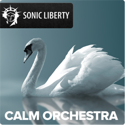 Music and film soundtrack Calm Orchestra