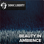 Musicproduction - music track Beauty In Ambience