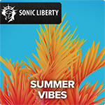 Musicproduction - music track Summer Vibes