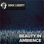 Royalty Free Music Beauty In Ambience