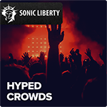 Musikproduktion Hyped Crowds