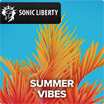 Musikproduktion Summer Vibes