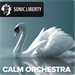 Music and film soundtracks Calm Orchestra