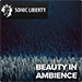 Royalty-free Music Beauty In Ambience